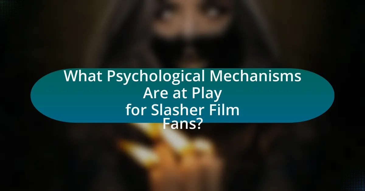 What Psychological Mechanisms Are at Play for Slasher Film Fans?