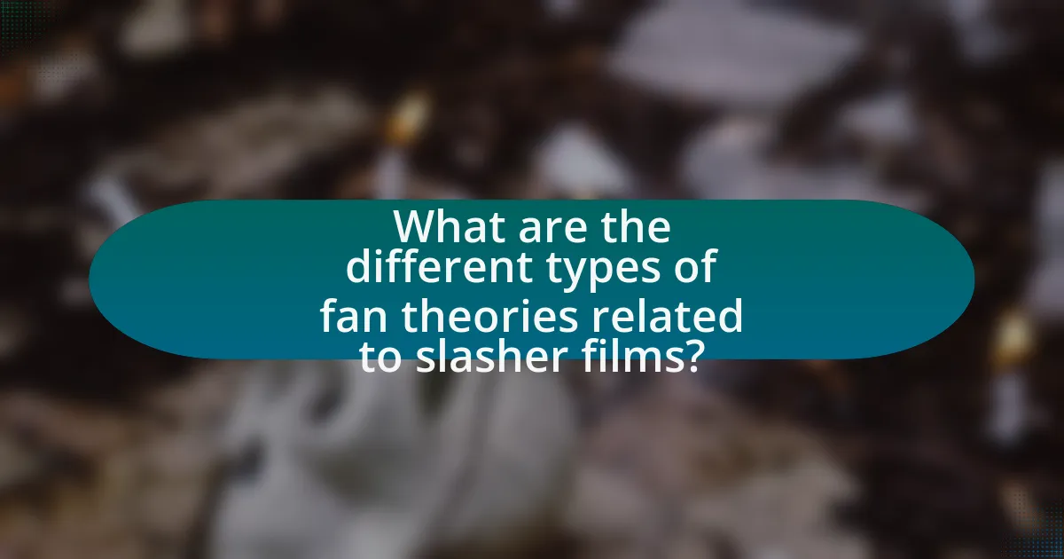 What are the different types of fan theories related to slasher films?